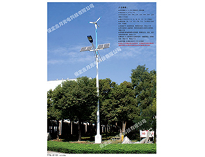 风光互补太阳能路灯FGD-30 风光互补太阳能路灯FGD-30